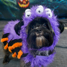 ✨L•A•U•R•E•N ✨