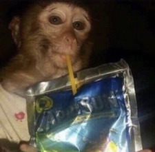 CapriSun Monkey