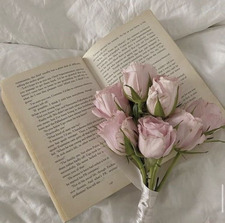 Lily