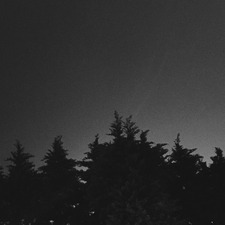 ✨LEAH✨(semi hiatus)