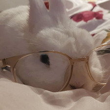 ૮ . . ྀིა⁩