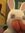 lissy