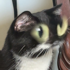 Katie