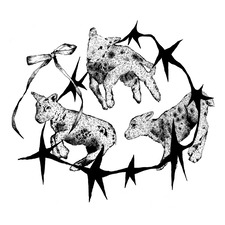 localdisaster &#x1f988;