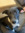 LuLu