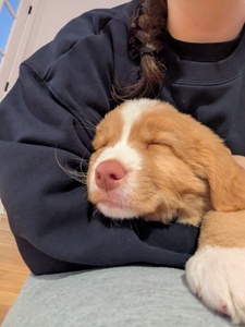 Eve ✿ ｡◕‿ ◕｡ ✿