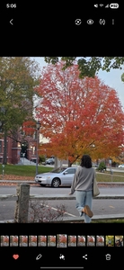 strangerthanFae ☾⋆☽ ⋆˙ 