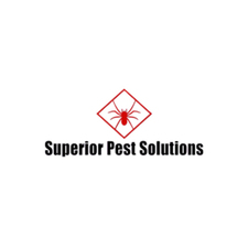 Superior Pest  Solutions