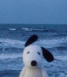 gia ⋆ ˚｡⋆୨୧˚