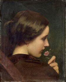 Rosa