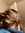Marcelle