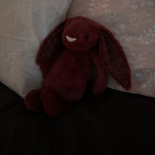 corina ☆ ☆ .。o○