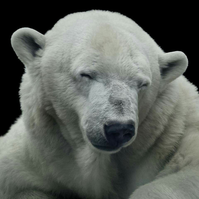 Goodreads profile picture for @umbilical