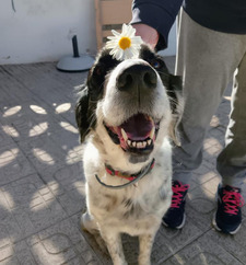 Reader Silvi &#x1f913;