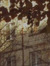 Navi
