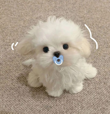 ☆*:.｡. Elisha.｡.:*☆