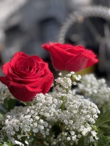 Fiza