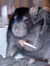 Rat girl 