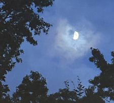 ✨celestial reads✨