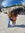 Ode Gbe