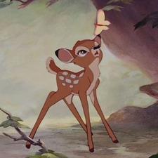 Kaleigh ˚₊‧꒰ა ☆ ໒꒱ ‧₊˚