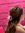 livie_bear