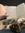 Kurstin Bratvold | 3 comments