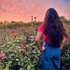 •✿ Mår¥ Låmß ✿•