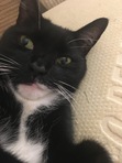 Sam