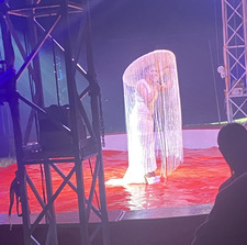 Enija Baltrušaitytė