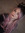 Andreea G