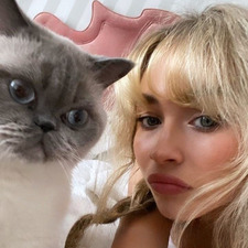 de lua, con amor ˚₊· ͟͟͞͞➳❥