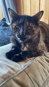 Ketty