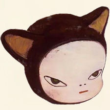 vazixyz