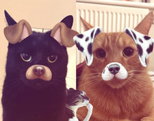 Melis (*ᴗ͈ˬᴗ͈)ꕤ*.ﾟ