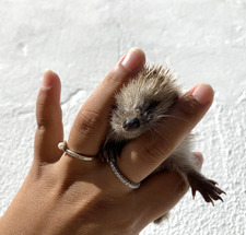 Ale🧚🏻‍♀️