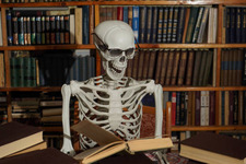 Stacey ˗ ღ ˎˊ˗