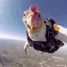 Kekoa