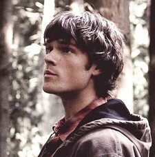 Barnette ⋆˙⟡  (my girlfriend's version)