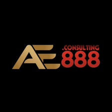 AE888 Consulting