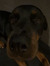 Pien