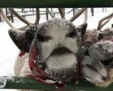 Ava ୨ৎ (matching pfps with Ava)