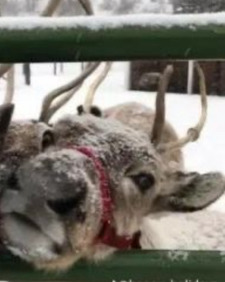 Ava(matching pfp with Ava!!!)