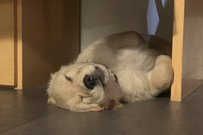 Alexandra  [Alexdarkunicorn]