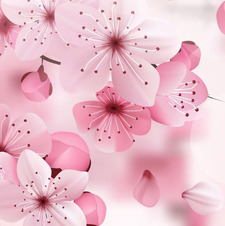 &#x1d4d9;&#x1d4ea;&#x1d4f7;&#x1d4ea;