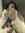 Lalie