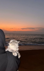 آلاء الإمام 