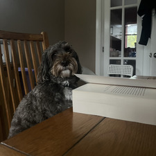 ೃ ✦ ✧ ∗ ❥ ҉ brooke