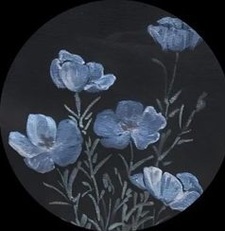 ˙✧˖°camryn ༘ ⋆｡˚