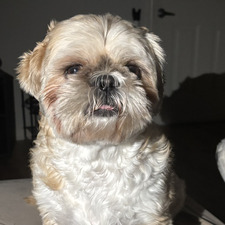 chloe